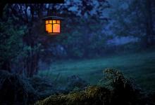 5號性格vs.9號性格：觀察者vs.調停者