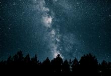 5號性格vs.7號性格：觀察者vs.享樂主義者