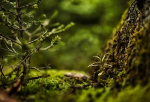 九型人格是搞定日己的最佳工具