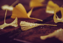 九型人格是什么