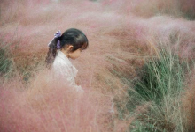 九型人格初學者入門十問