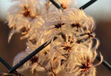 總結9種型號的感召力