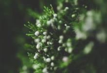 搞定自己搞定家庭