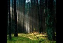 深度解讀4w5（放浪詩人）