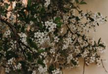 九型8號人格外在表現一定強勢霸道嗎？