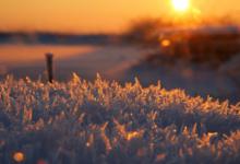 不確定某人或自己是9w8還是8w9、在人群中區分9w8和8w9