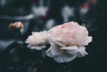 九型人格的九宗罪是什么意思