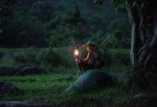 九型人格的愛是怎么樣的?