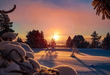 九型人格本能副型，副型堆疊  翻譯內容：