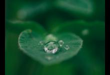 九型人格體系6號側翼