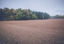 九型人格體系9號側翼