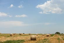    九型人格二號助人型的男人