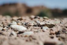 九型人格與婚姻配對