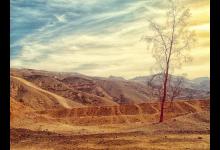 九型人格-各類型孩子的培育要點（三）