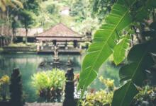 九型人格與家居生活