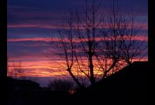 一號的戀愛關系