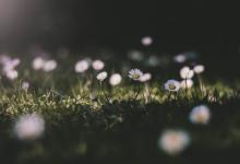 九型人格中3號的婚姻之痛