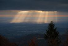 婚戀關系中的三號