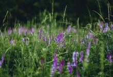 婚戀關系中的六號