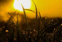 婚戀關系中的二號