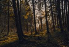 九型人格對于人力資源開發與管理的重要意義