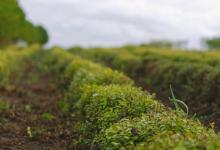 九型人格障礙種類及表現(xiàn)