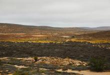 九型人格如何溝通