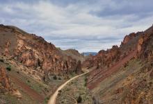 一對一型9號——天生的神秘家