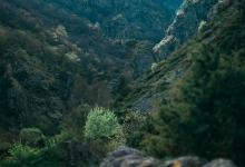 社群型4號（局外人/真相揭露者）——絕不順從的“公正斗士”