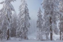 自保型4號——負傷的療愈者