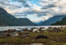 不同性格居家隔離痛苦指數排行榜