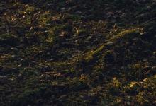 2號向你抱怨他人，怎么回應?