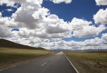 4號大家族的六個寶貝孩子