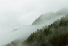 社群1號和8號的區分