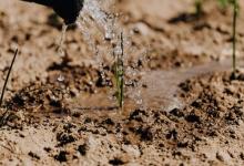 6號的職場掉層記——從忠誠到搖擺