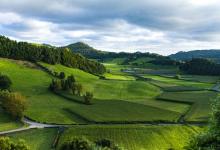 吾之良藥，彼之砒霜——九型人格的成長啟迪