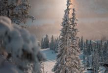 【27副型】九型人格中的“反類型”