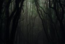 八號的壓力狀態