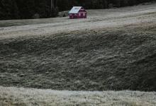 八號(hào)領(lǐng)袖型的邊界