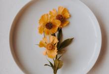 八號(hào)領(lǐng)袖型的情緒