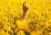 八號(hào)親密關(guān)系