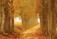 避開(kāi)憤怒的八號(hào)領(lǐng)袖型