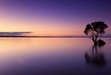 八號(hào)領(lǐng)袖的閃光點(diǎn)