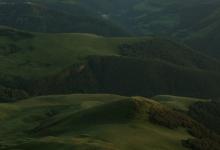 八號與九號相處