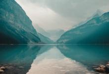 八號領袖型性格者的否定軟弱