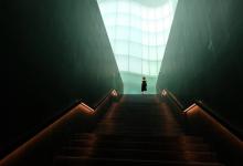 八號領袖型的組織