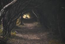 八號保護者的練習反思