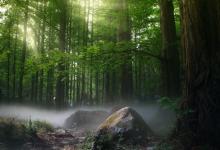 八號保護者的自我意識練習