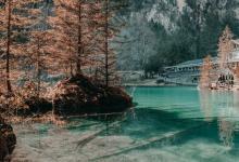 八號的性格特征（上）