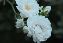 8號性格者需要避免的做法